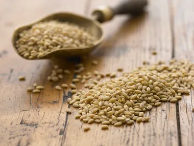 Health news: the benefits of barley