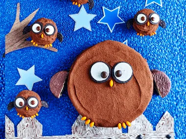 Hoot hoot horray owl birthday cake