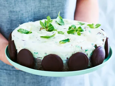 Mint chocolate ice-cream cake