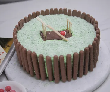 Cricket pitch birthday cake