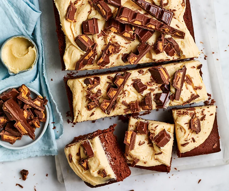 Chocolate peanut butter slab cake