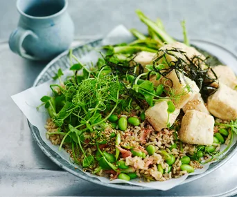 37 vegan dinners for the family