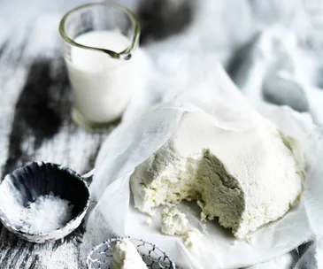 Firm ricotta