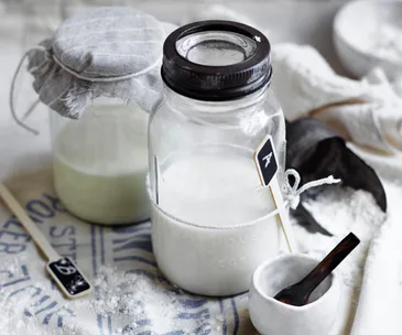 Sourdough starters