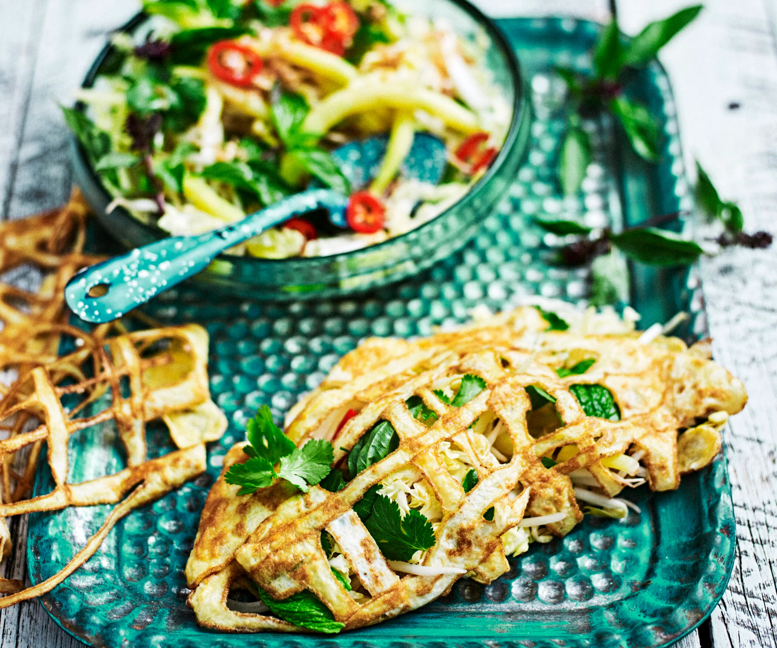 Vietnamese egg wraps-image