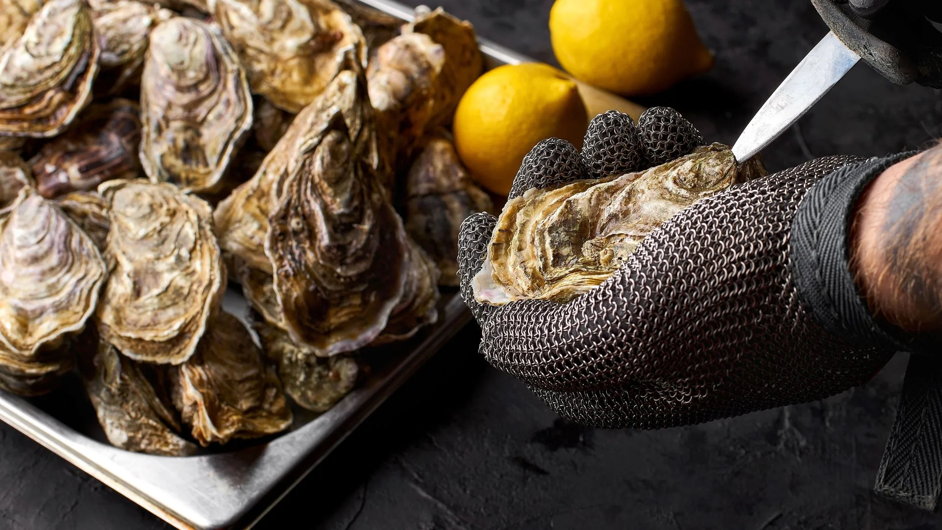 Fresh oysters being shucked
