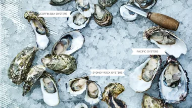 How to shuck, buy & store oysters