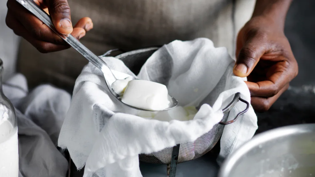 A person scooping pieces of curd from a large saucepan into a muslin-lined colander to drain the curds.