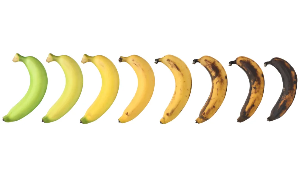 8 bananas in order from unripe to overripe.