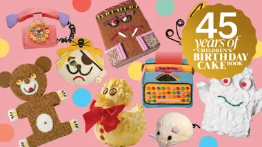 Children's Birthday Cake Book cakes
