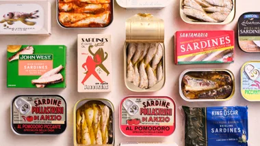 sardine dishes; a group of several canned sardine tins