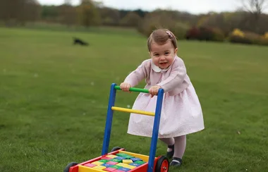 Everything You Need To Know About These Adorable Photos