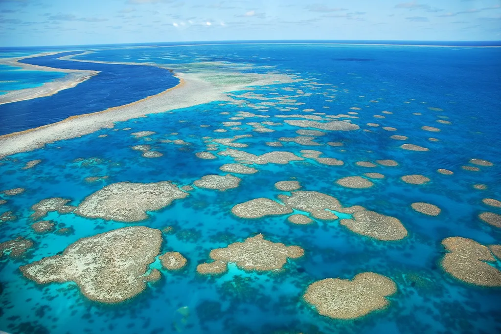 great barrier reef