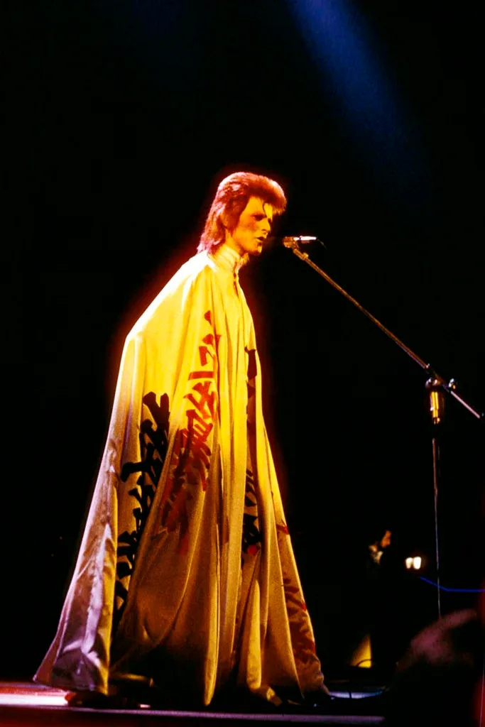 David Bowie in 1973