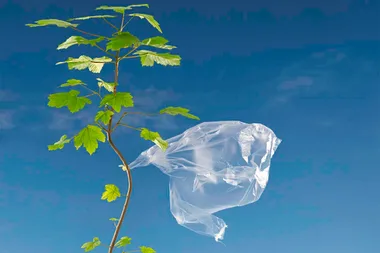 Labor Announces Plan To Ban Single Use Plastic Bags And Microbeads