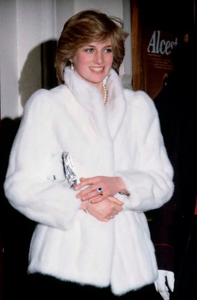 Princess Diana style