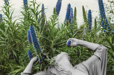 How To Fertility-Boost Your Home