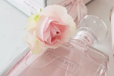 Why A Burst Of Fragrance Is The Ultimate In Home Elegance