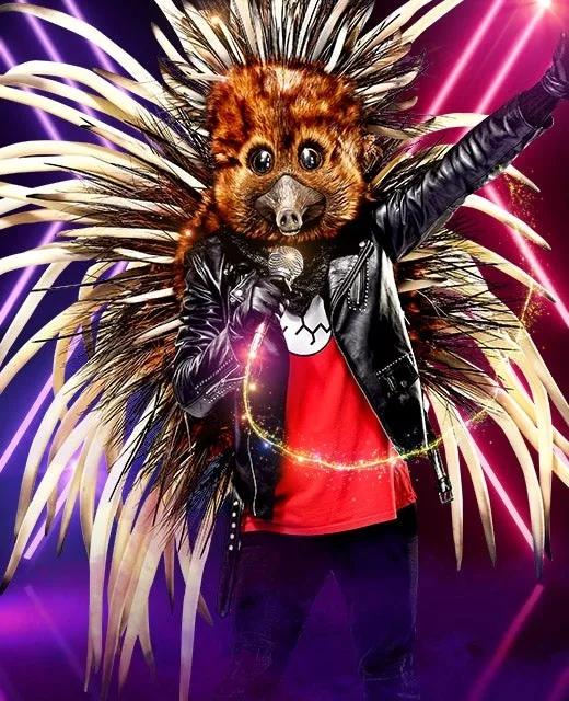 the masked singer