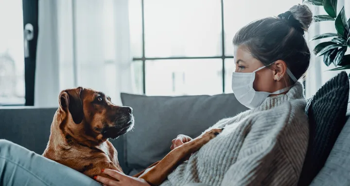 A woman wearing a mask sitting on a couch, petting her dog.
