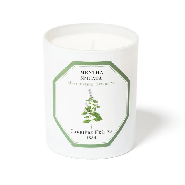 White Carri&egrave;re Fr&egrave;res candle labeled "Mentha Spicata," featuring a spearmint plant illustration.