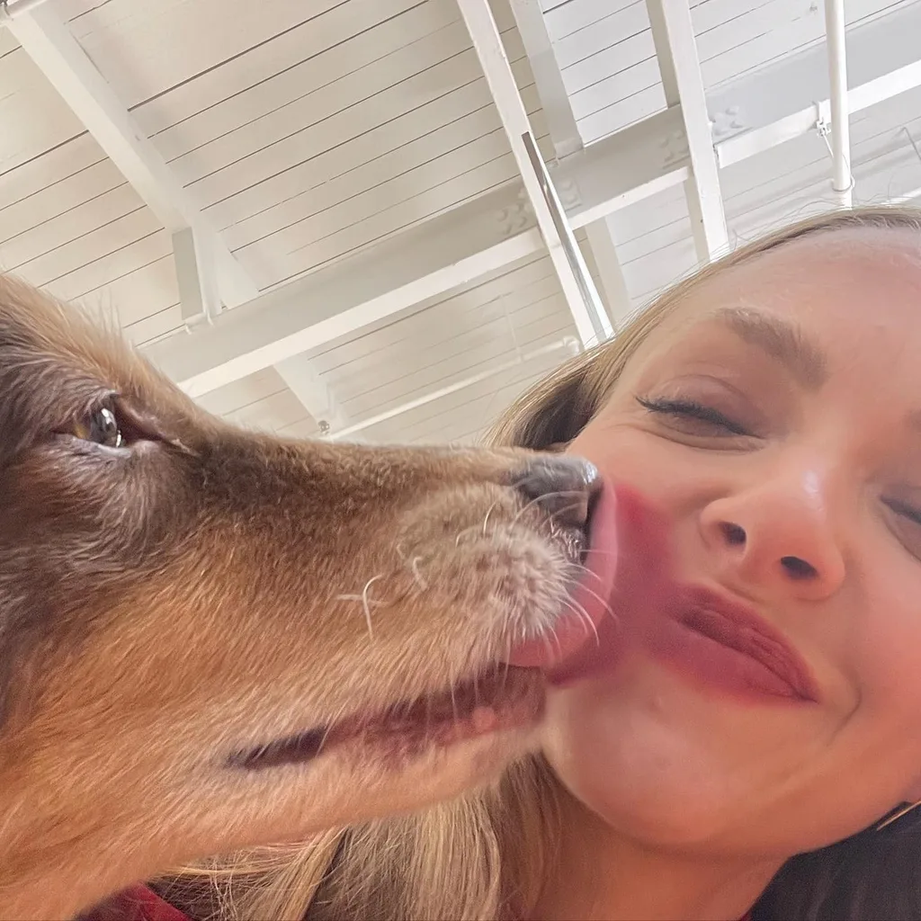 amanda seyfriend dog