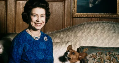 A Brief History Of Queen Elizabeth II And Her 89 Year Long Royal Clan Of Corgis