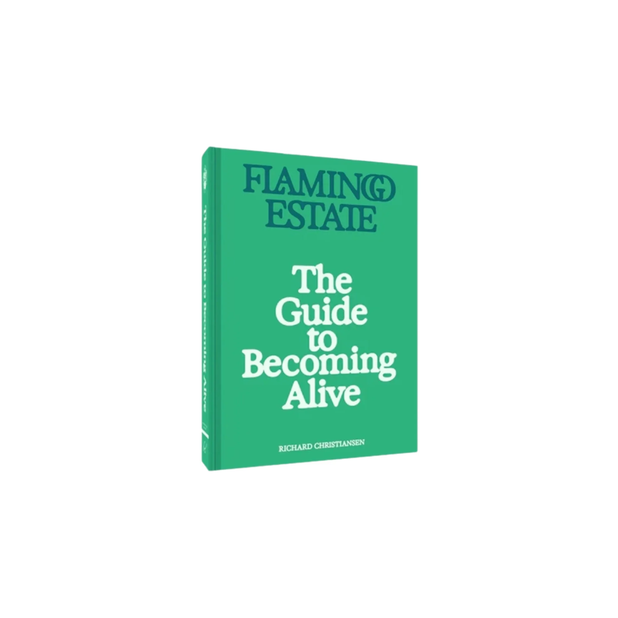 Christmas-Gift-Guide-Flamingo Estate-The Guide-To-Becoming-Alive