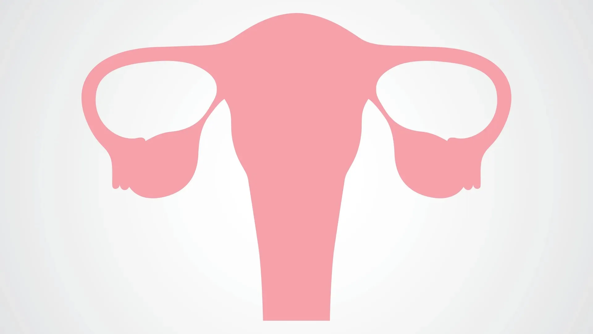 "Illustration of a pink female reproductive system on a light background."