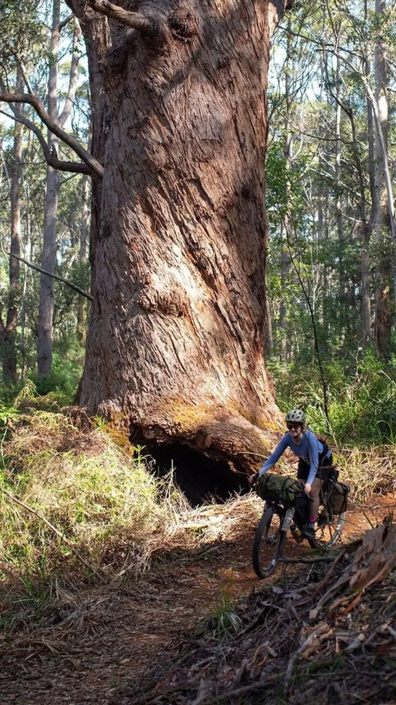 Bikepacking in Australia