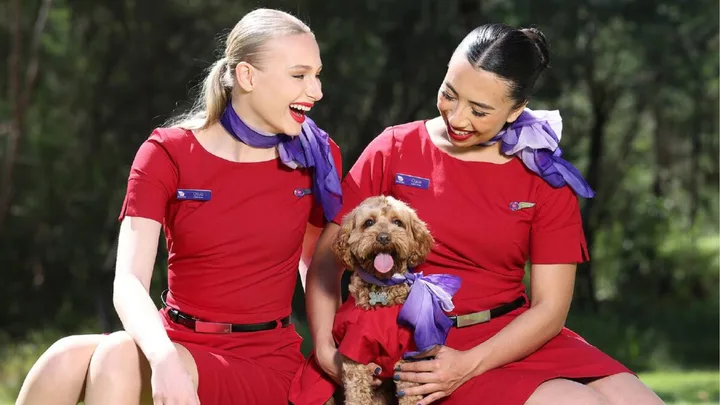 Virgin allows pets on the plane.