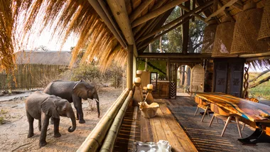 Wild At Heart: A Unique Luxury Safari Camp In Botswana