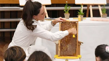 Guerlain Champions The Humble Bee With Its Bee School Initiative