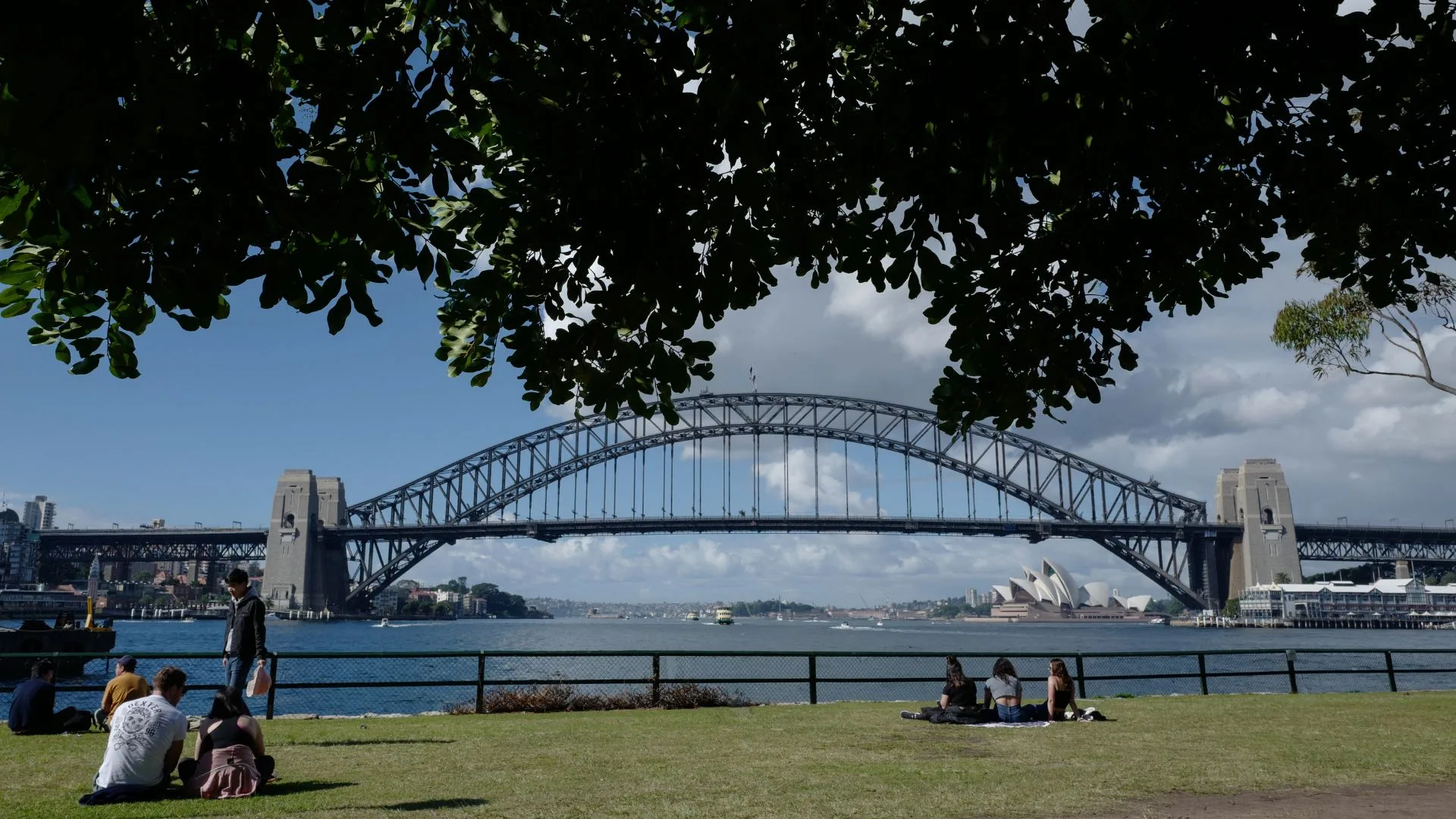 View of the Sydney Harbour Bridge from Blues Point Park