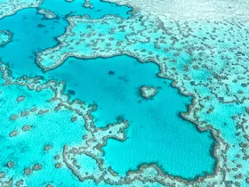 The Surprising New Hero In The Fight To Save The Great Barrier Reef