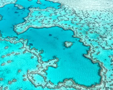 The Surprising New Hero In The Fight To Save The Great Barrier Reef