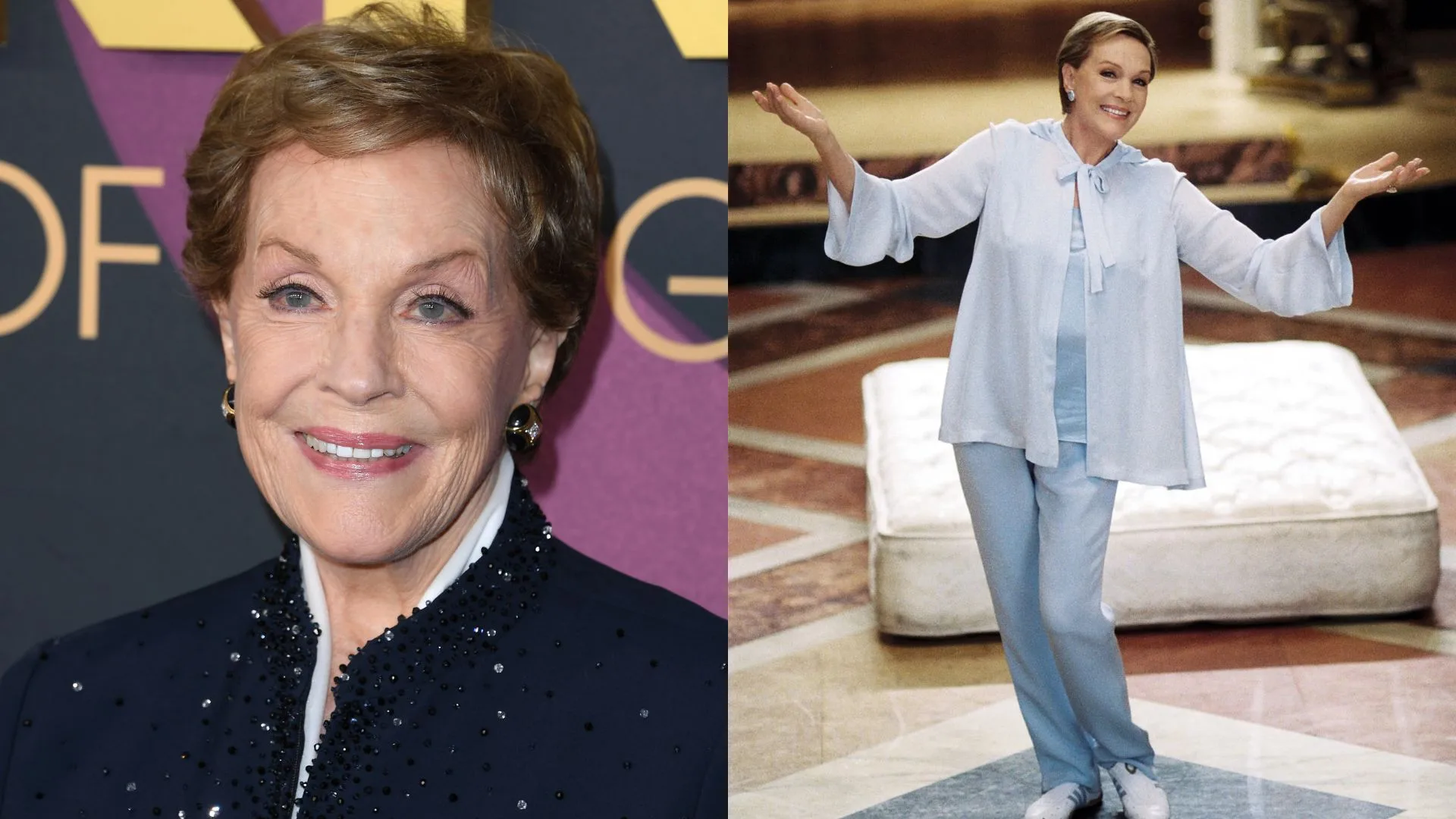 Julie Andrews The Princess Diaries cast then and now 