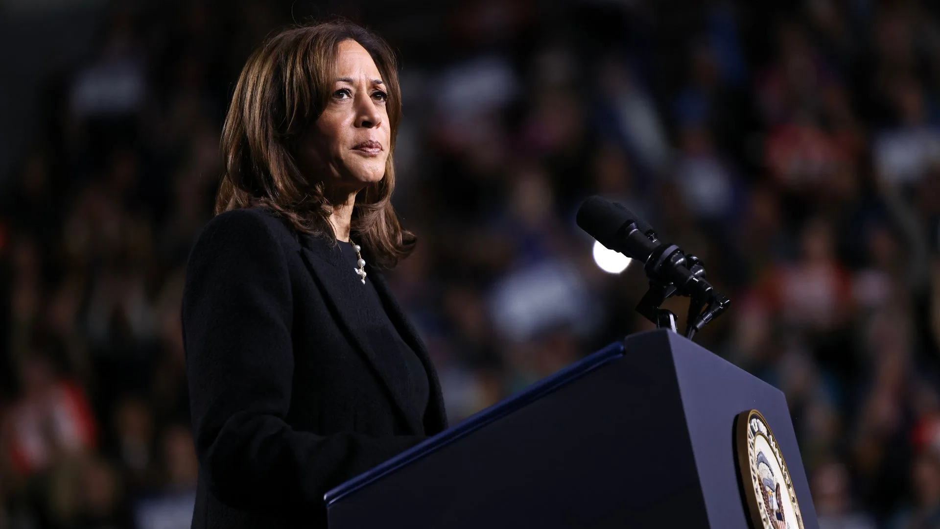 2024 in review Kamala Harris V trump 