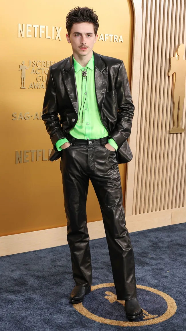 Timothee Chalamet SAG awards red carpet 2025
