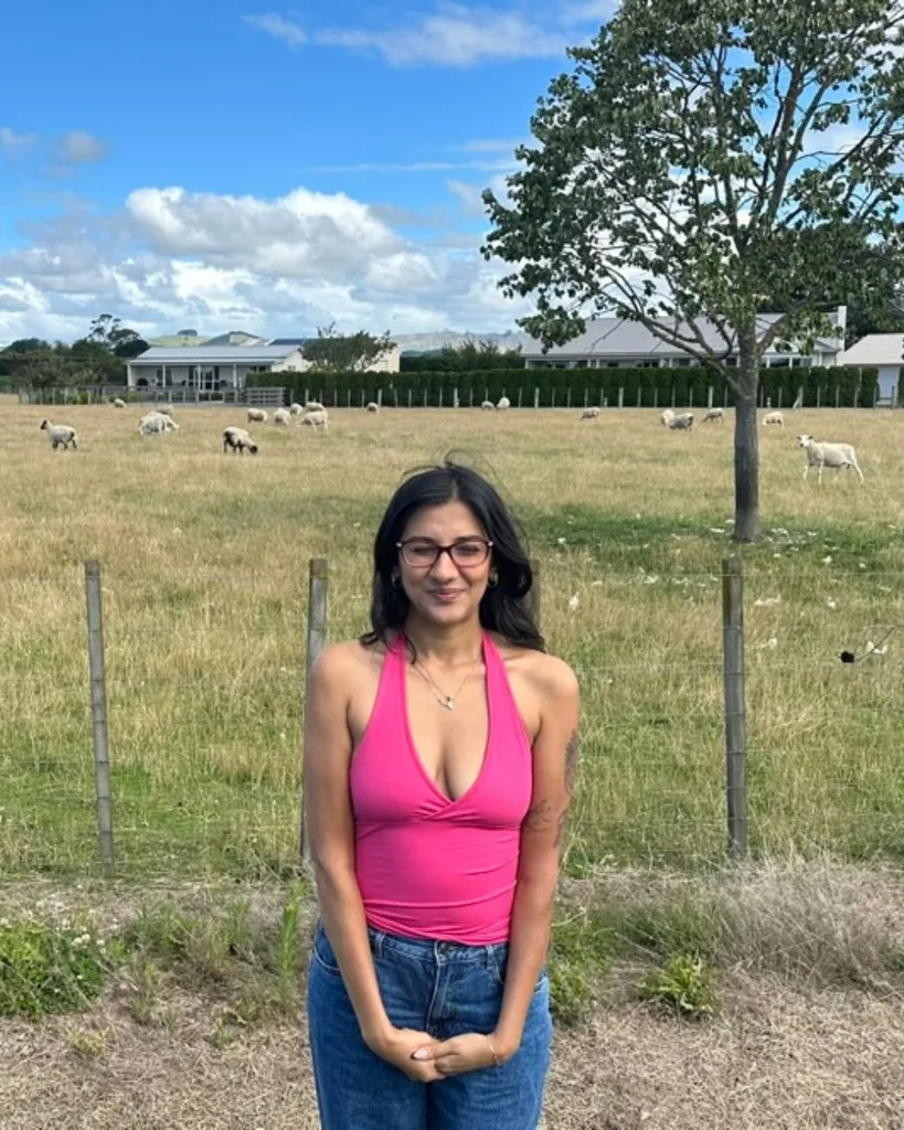 Mental health budget 2025