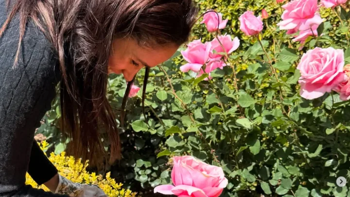 Meghan Markle flowers