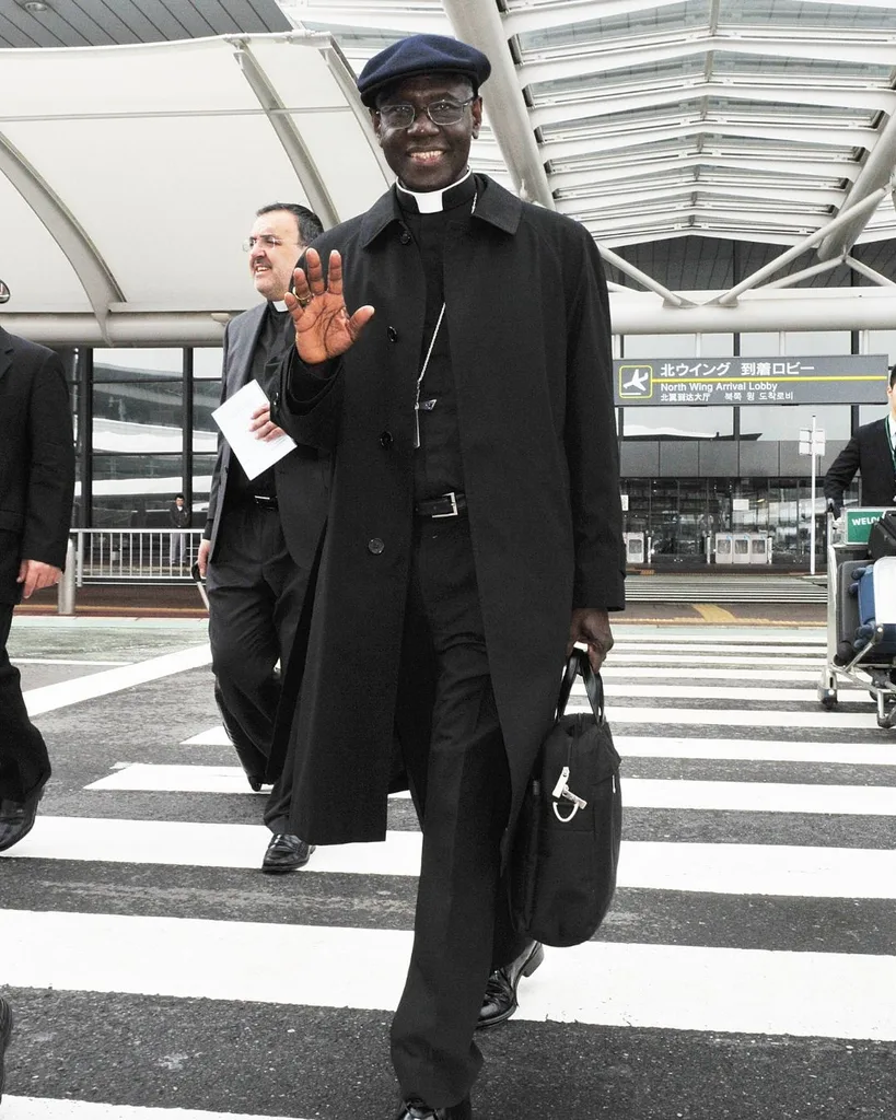 cardinal robert sarah is africa's best chance of being the next pope