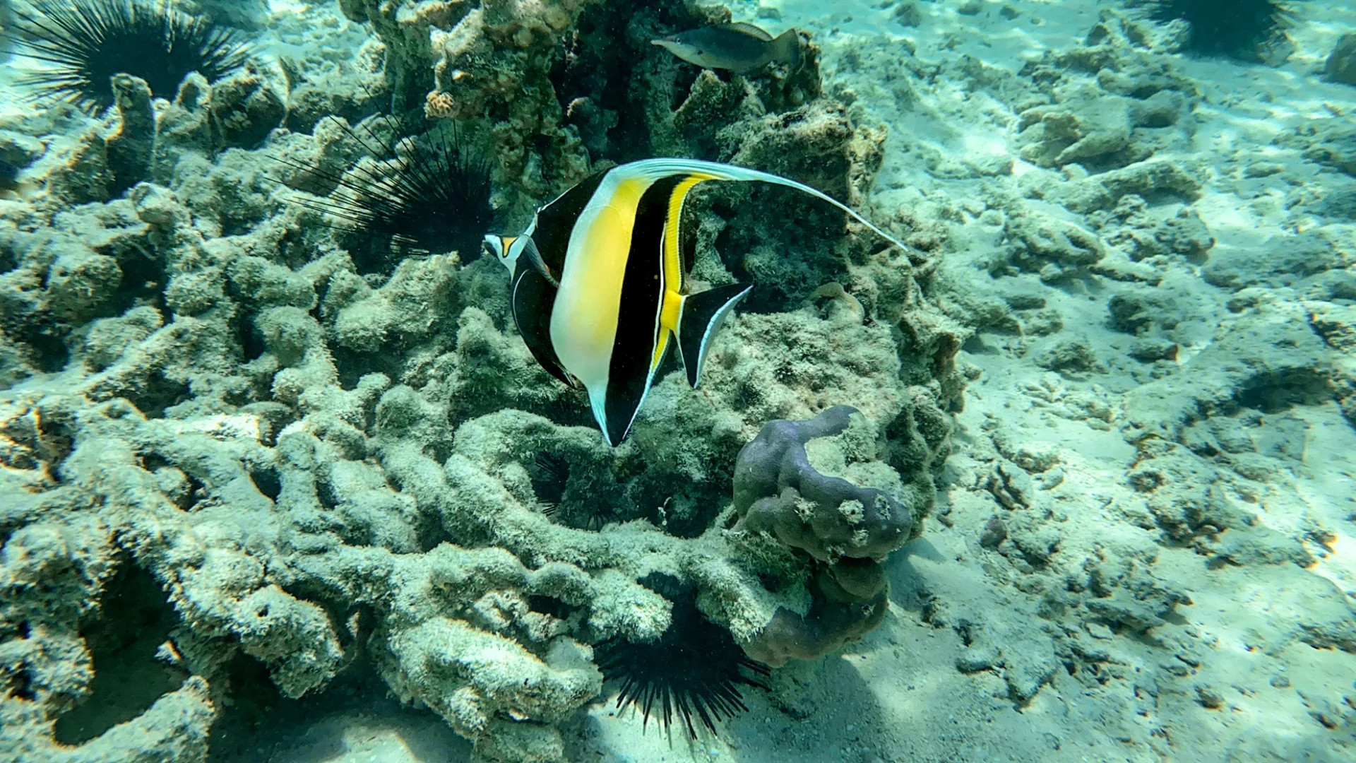 &Beyond Mnemba Island