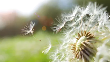 Brave, Not Perfect: The Rise of Vulnerable Leadership