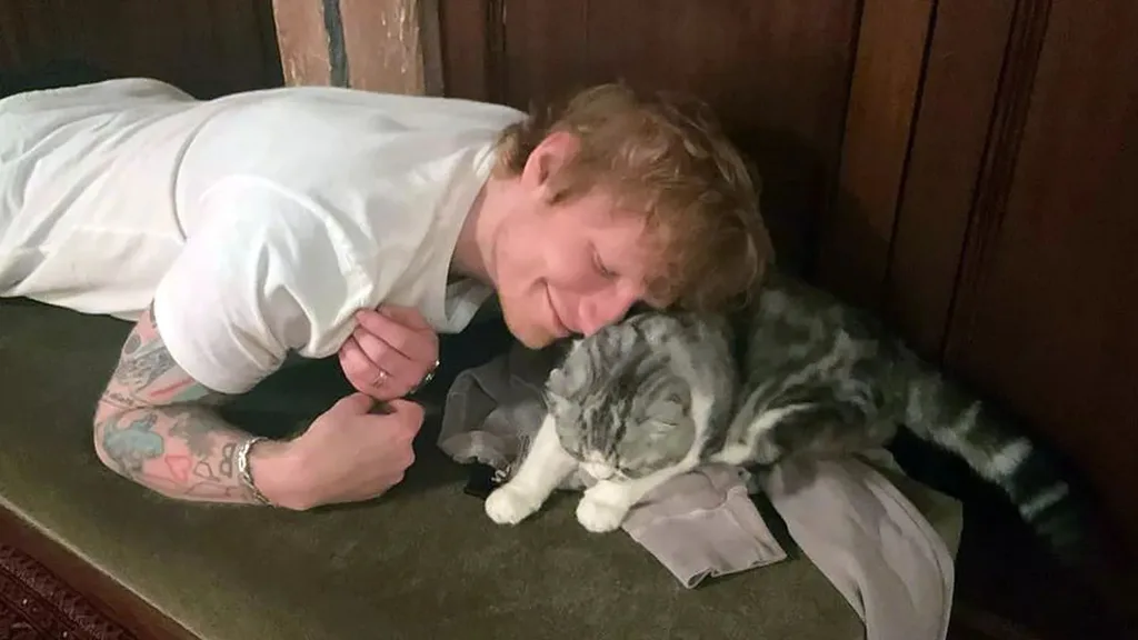 Ed Sheeran with Meredith. Image: Instagram