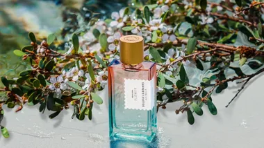 Pacific Rock Flower by Goldfield & Banks
