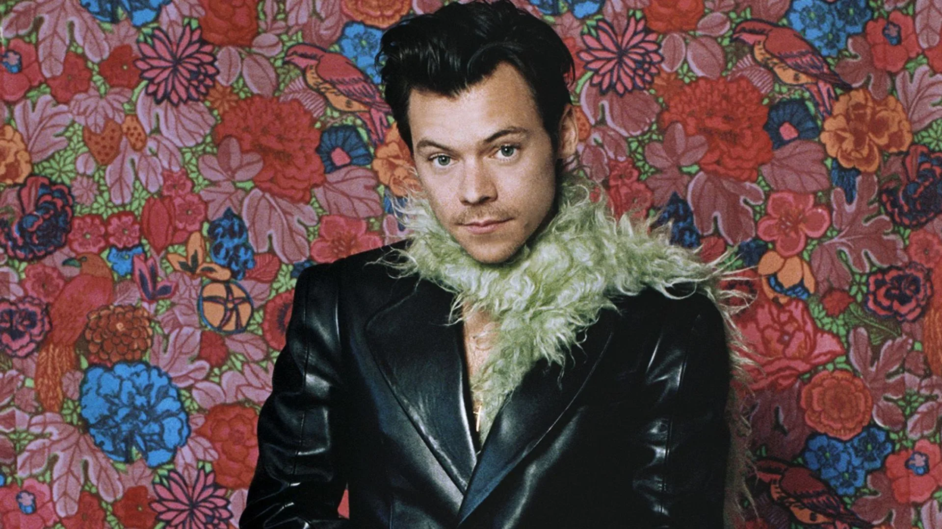 How To Get Harry Styles' Pleasing Sex Toys In Australia | marie claire How To Get Harry Styles' Pleasing Sex Toys In Australia | marie claire