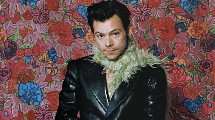 Harry Styles’ New Sex Toys Are Here To Please You