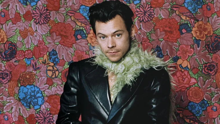 Harry Styles Pleasing Vibrator