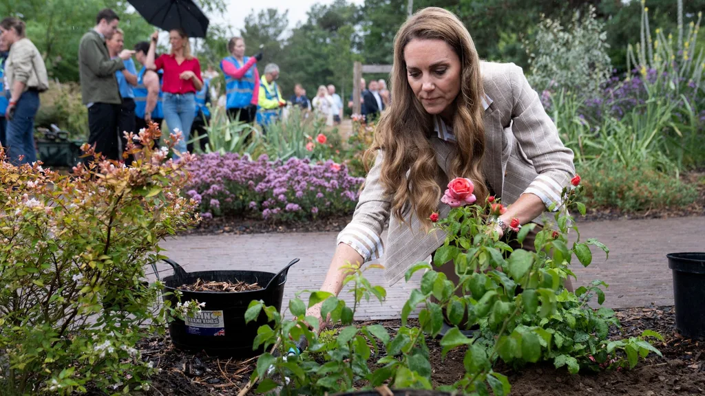 A woman digging in a garden.